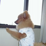 <b>창밖</b>엔 무엇이 있을까?