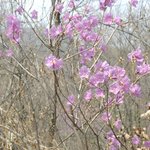 <b>수리산</b> 감투봉 에서 -2