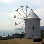 <b>올리브</b> 공원 등