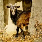 국내 작가 수채화전. 임장미