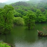 봐줄만해서 올립<b>니더</b>예17