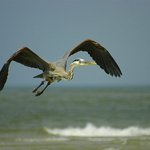 우리는 창공을 꿈꾼다 (22)