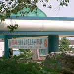 팽성 <b>부용</b>초등 동창회1
