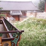 고즈넉한 <b>사찰</b>안엔 안개꽃만이.....