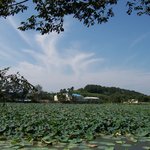 진주 강주<b>연못</b>