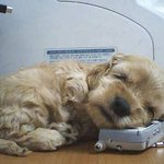 어디서 <b>자니</b>?
