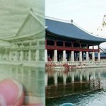 만원의 <b>조화</b>