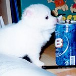 <b>맥주</b>가 조아?