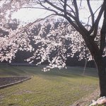 많이는 안올립<b>니더</b>예7