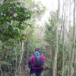 잊혀진 <b>동백</b>87