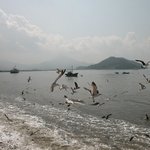 보면볼수록 매력있는 <b>서해</b>바다도 좋습니다.