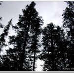 <b>water</b> color heaven[1]