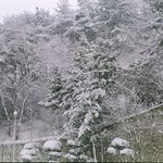 봐줄만해서 올립<b>니더</b>예8