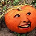 <b>호박</b>아가씨