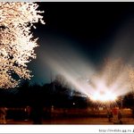 전주 동물원 야경......