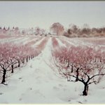 brian walters의 수채화... (30)