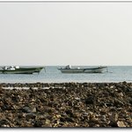 오늘도 올립<b>니더</b>예2