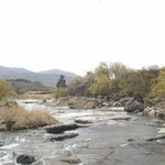 <b>산수유</b>꽃피는 산동마을