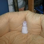 자는 모습도 가지<b>각색</b>