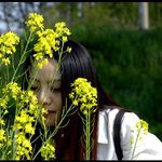 <b>섬마을</b>에 핀 아름다운 꽃과 함께