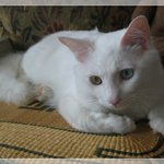 울 애기는 애교쟁이~ <b>잇</b><b>힝</b>~ ^^;