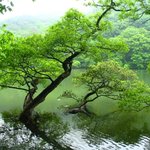 봐줄만해서 올립<b>니더</b>예19