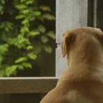 모가<b>지와</b> 등의 라인이 늠후 귀엽소