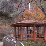 봐줄만해서 올립<b>니더</b>예9
