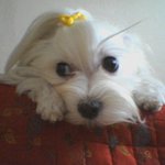 요리 <b>조리</b>~