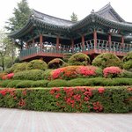 죽두봉 연자루 철쭈꽃과 <b>조화</b>