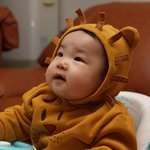 사자옷을 입은 아기