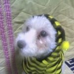 <b>벌이</b>되고파요~ㅠㅠ