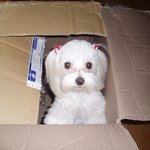 울 <b>뚱이</b>~~