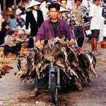 베트남 오토바이 <b>기인</b>들 천국이네
