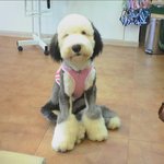 <b>명수</b> 목욕하고 나서..