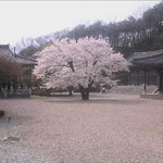 많이는 안올립<b>니더</b>예9