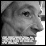 독일의 인간 <b>미라</b>