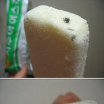 아이스 바 신제품 '파리 맛 골드'