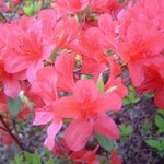 성<b>암산</b>에서..