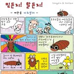 <b>애완</b>용 바퀴벌레