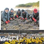 휴~ <b>한숨</b> 나오는 사진..