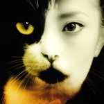 고양이와 사람을 <b>합성</b>하면???