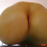 궁<b>댕이</b>~(배)