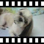<b>구여</b>븐척^^