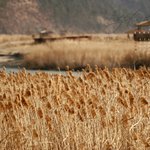 9월 달력 <b>바탕</b>화면2