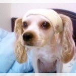 어때요?나도 <b>소지섭</b>같아요??