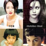 <b>헐리</b>웃스타와 닮은꼴 연예인