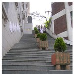 <b>어느</b> <b>학교</b> 계단~