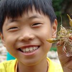 <b>가재</b>를 보셨나요?