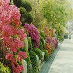 제 모교 성덕<b>여상</b>의 풍경(사계절)